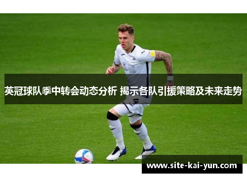 英冠球队季中转会动态分析 揭示各队引援策略及未来走势 英冠球队季中转会动态分析 揭示各队引援策略及未来走势