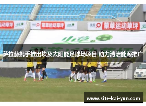 萨拉赫携手推出埃及太阳能足球场项目 助力清洁能源推广