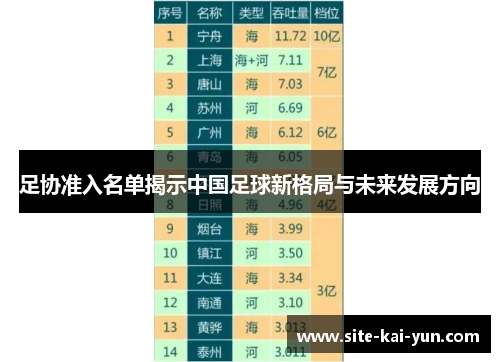 足协准入名单揭示中国足球新格局与未来发展方向