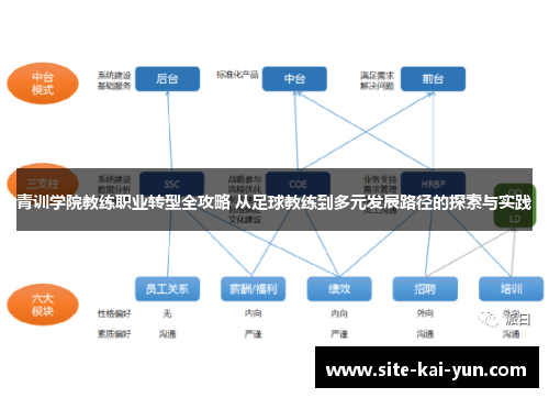 青训学院教练职业转型全攻略 从足球教练到多元发展路径的探索与实践
