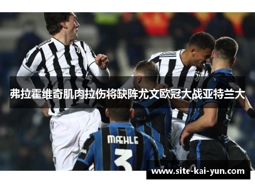弗拉霍维奇肌肉拉伤将缺阵尤文欧冠大战亚特兰大 弗拉霍维奇肌肉拉伤将缺阵尤文欧冠大战亚特兰大