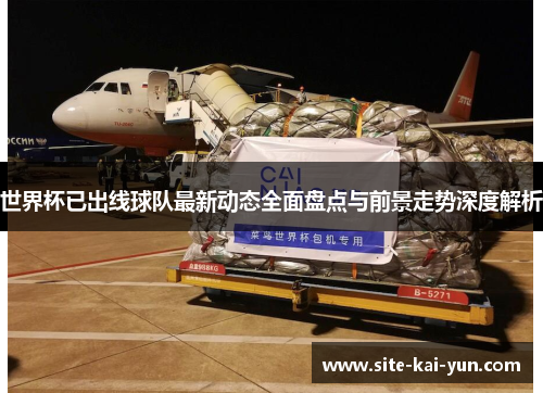 世界杯已出线球队最新动态全面盘点与前景走势深度解析